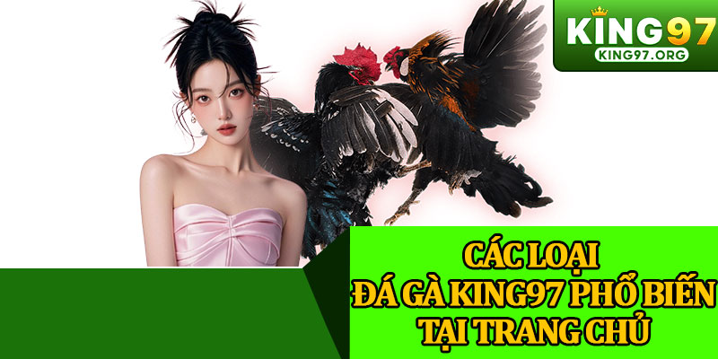 Các Loại Đá Gà King97 Phổ Biến Tại Trang Chủ