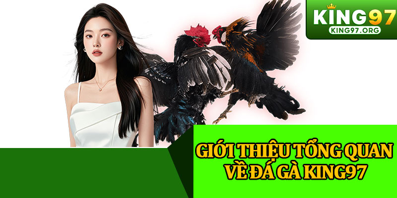 Giới Thiệu Tổng Quan Về Đá Gà King97
