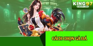 Cách Chọn Gà Đá