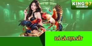 Đá Gà Cựa Sắt